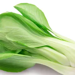 En färsk pak choi, känd för att vara nyttig, med sina ljusgröna blad och vita stjälkar.