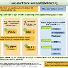 Diagram som visar läkemedelsbehandling vid diabetes. Metformin är basbehandling. Vid pre diabetes och andra tillstånd rekommenderas SGLT2-hämmare, GLP1-analoger eller insulin.