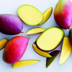 Härliga, färgglada mangos, både hela och skurna, visar hur mango nyttigt kan vara. Perfekt för en hälsosam fruktsallad.