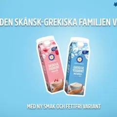 Två förpackningar grekisk yoghurt, en hallon och en naturell. Båda är nyttigt alternativ för en hälsosam livsstil.