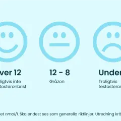Tre smiley-ansikten visar nivåer: över 12 (glad, troligtvis inte testosteronbrist), 12-8 (neutral, gråzon) och under 8 (ledsen, troligtvis testosteronbrist).