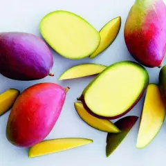 Hela och skivade mangofrukter i livfulla färger. Torkad mango nyttigt som ett hälsosamt snacks.