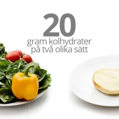 20 gram kolhydrater per dag kan se ut som en tallrik grönsaker eller en brödskiva.