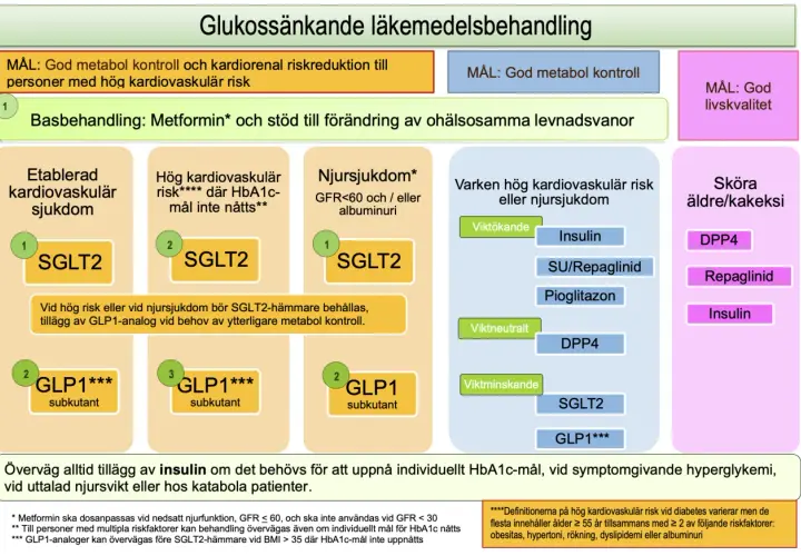 Diagram som visar läkemedelsbehandling vid diabetes. Metformin är basbehandling. Vid pre diabetes och andra tillstånd rekommenderas SGLT2-hämmare, GLP1-analoger eller insulin.