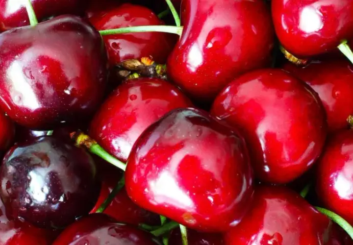 En närbild av saftiga, röda bigarråer. Dessa söta bär är inte bara goda, de är också nyttiga och fulla av antioxidanter. Perfekta som mellanmål!