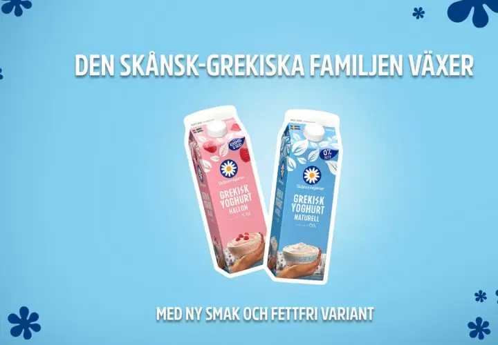 Två förpackningar grekisk yoghurt, en hallon och en naturell. Båda är nyttigt alternativ för en hälsosam livsstil.