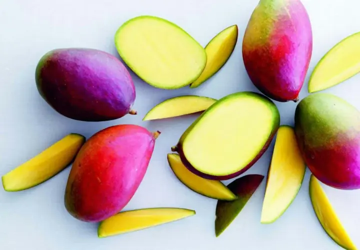 Hela och skivade mangofrukter i livfulla färger. Torkad mango nyttigt som ett hälsosamt snacks.