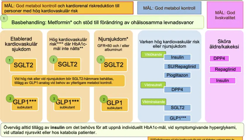 Diagram som visar läkemedelsbehandling vid diabetes. Metformin är basbehandling. Vid pre diabetes och andra tillstånd rekommenderas SGLT2-hämmare, GLP1-analoger eller insulin.