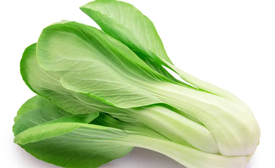 Är pak choi nyttigt? Näring, tillagning och mättande måltider