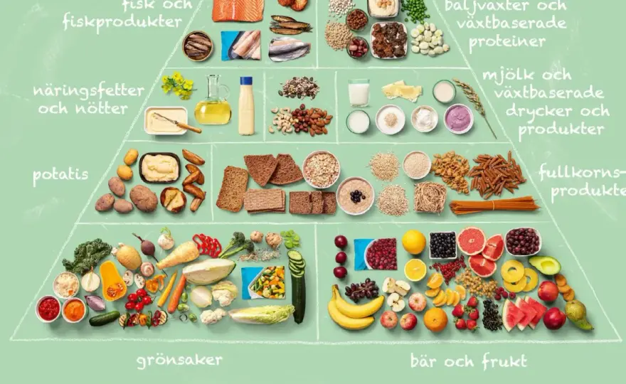 Är majs nyttigt? Näringsvärde och smarta portionsval