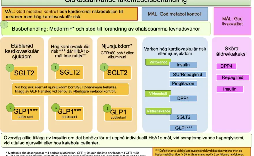 Prediabetes och högt blodsocker - så minskar du risken