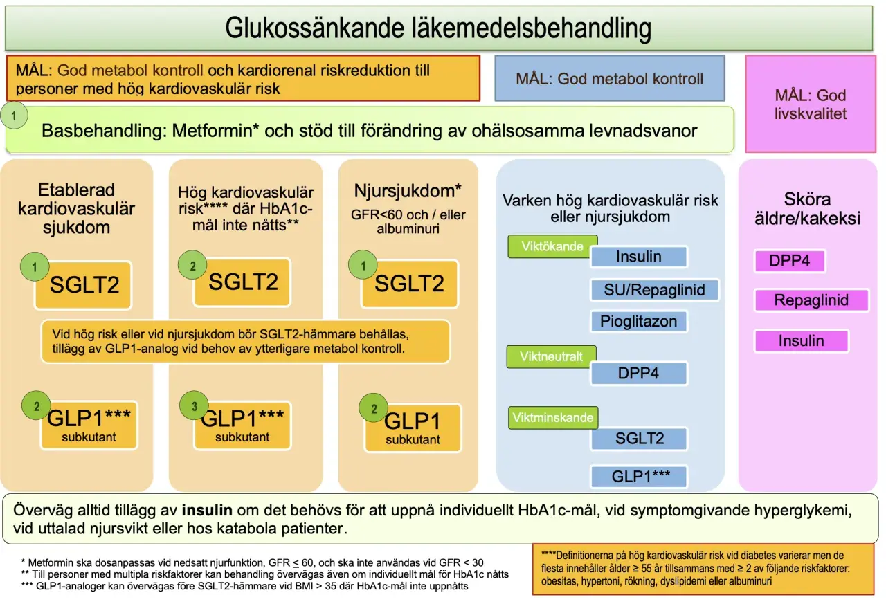 Diagram som visar läkemedelsbehandling vid diabetes. Metformin är basbehandling. Vid pre diabetes och andra tillstånd rekommenderas SGLT2-hämmare, GLP1-analoger eller insulin.
