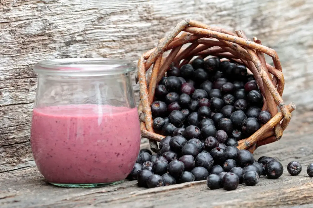 En burk med rosa aroniasmoothie bredvid en korg fylld med m&ouml;rka aroniab&auml;r. Perfekt f&ouml;r ett aronia recept.