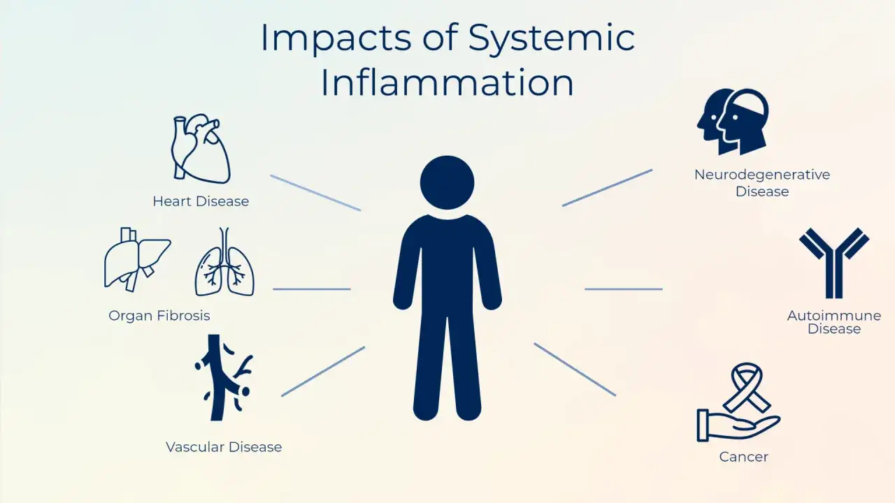 Systemisk inflammation kan leda till hj&auml;rt-, organ-, k&auml;rl-, neurodegenerativa, autoimmuna sjukdomar och cancer.