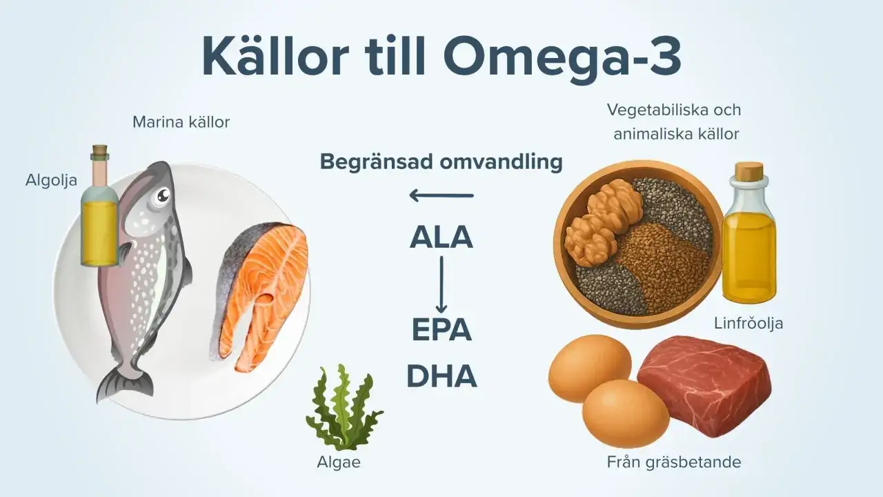 Marin-, alg- och vegetabiliska k&auml;llor kan ge ALA, men kroppen har begr&auml;nsad omvandling till EPA/DHA, vilket kan leda till omega 3 brist.